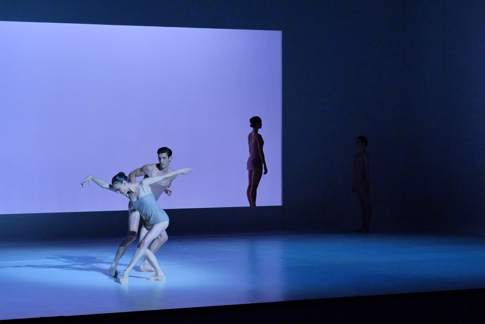 Couple dancing, purple and blue stage set. The Australian Ballet - CHROMA - Chorographer Wayne McGregor Photography by Kent Johnson.