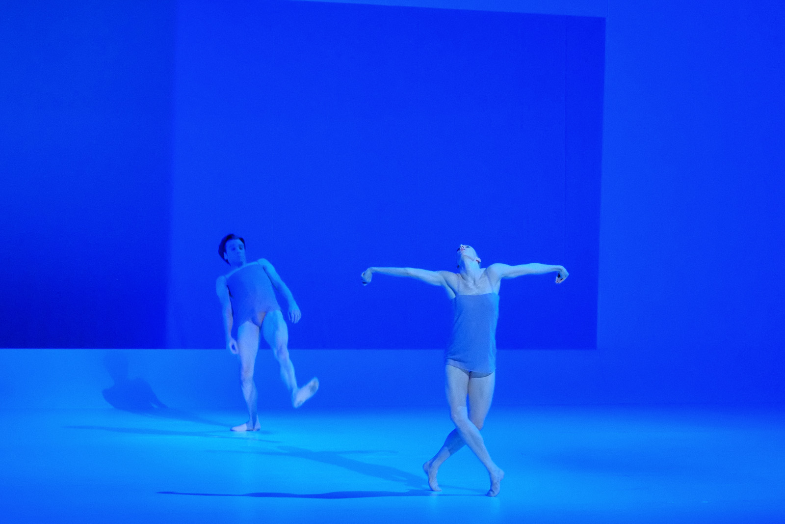 Blue Chroma, two dancers, Modern Ballet, The Australian Ballet - CHROMA - Chorographer Wayne McGregor Photography by Kent Johnson.