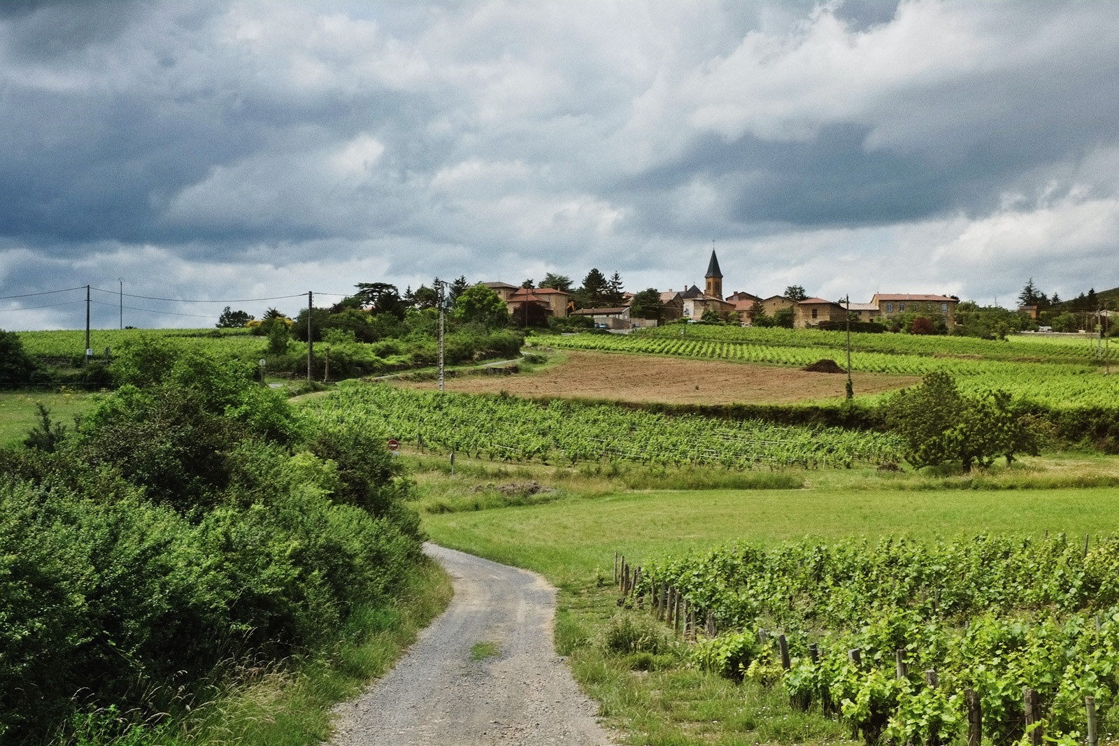 Vineyards and a back-road to Moiré. Travel photography by Kent Johnson.