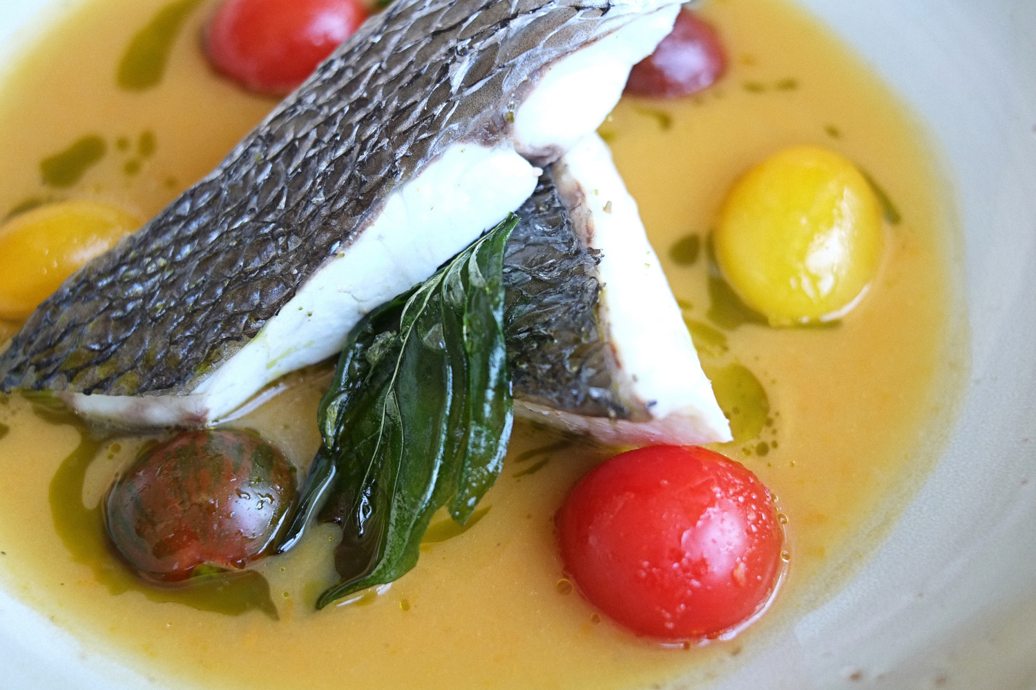 Steamed Mulloway With Spicy Lucariello Tomato by Gabriele Taddeucci of Osteria Balla Manfredi. Photographed by Kent Johnson.