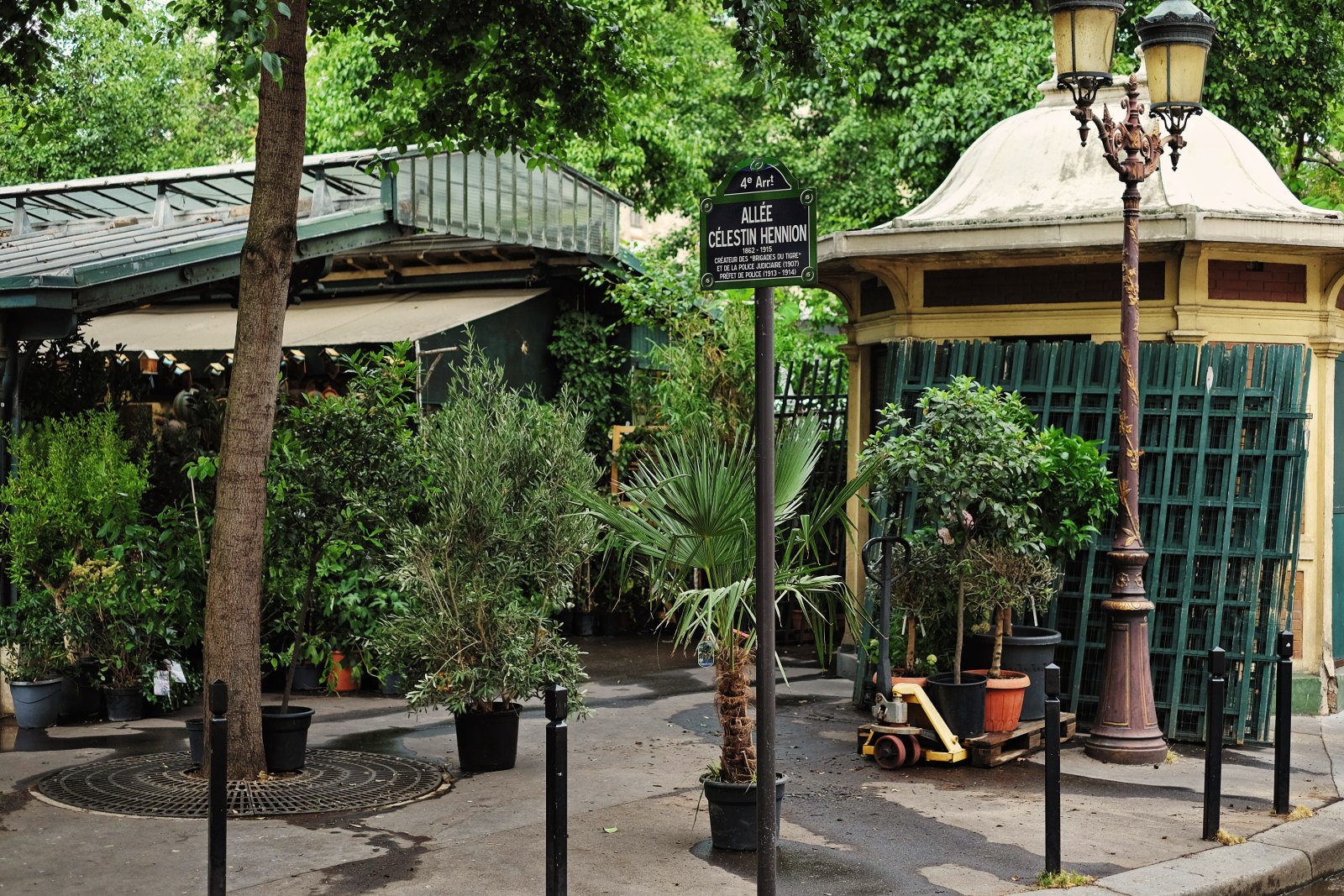 A street view of Marché aux Fleurs - Reine Elisabeth II- alley-Célestin Hennion, Ile de la Cité