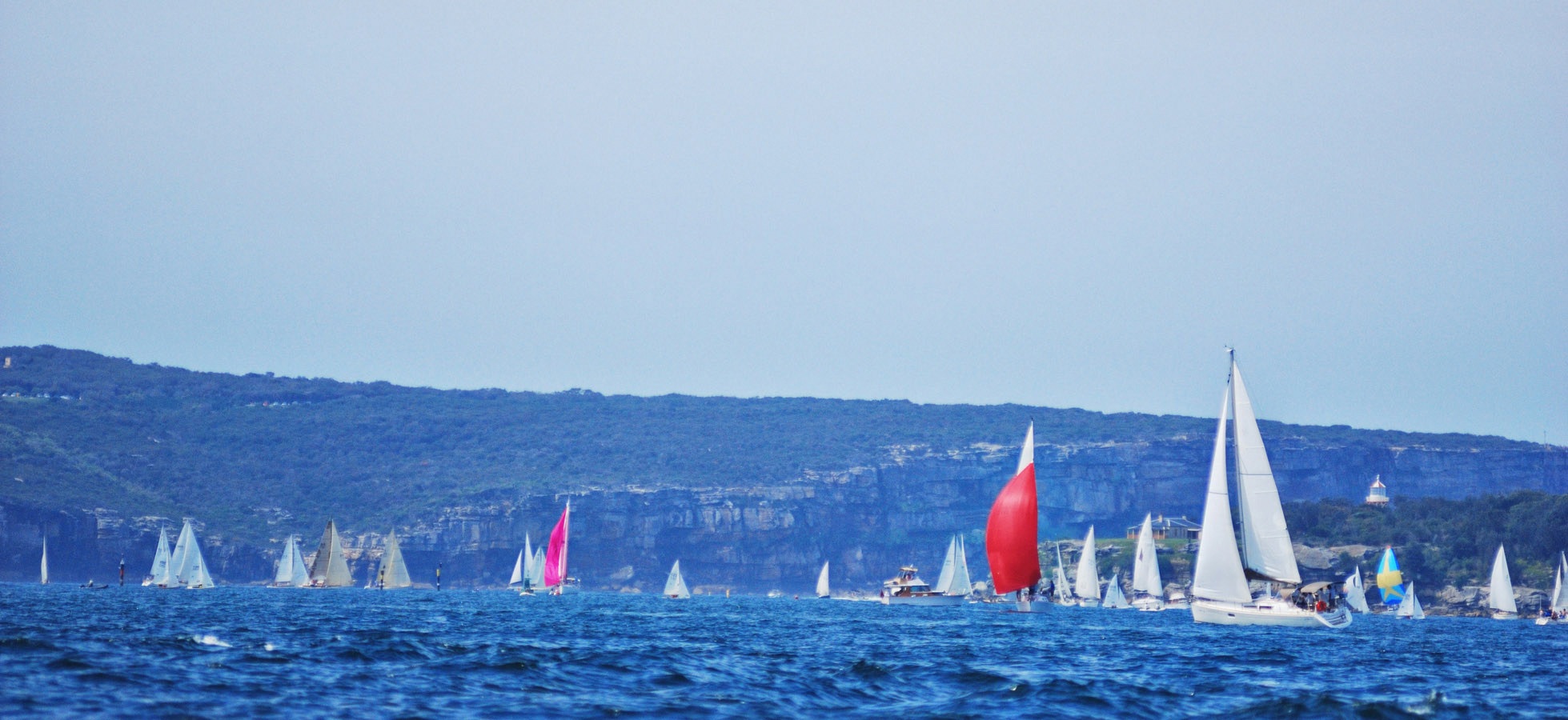 Panorama view of boats racing on Sydney Harbour photography by Kent Johnson